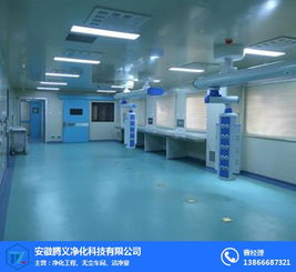 食品凈化工程 安徽騰義 凈化工程